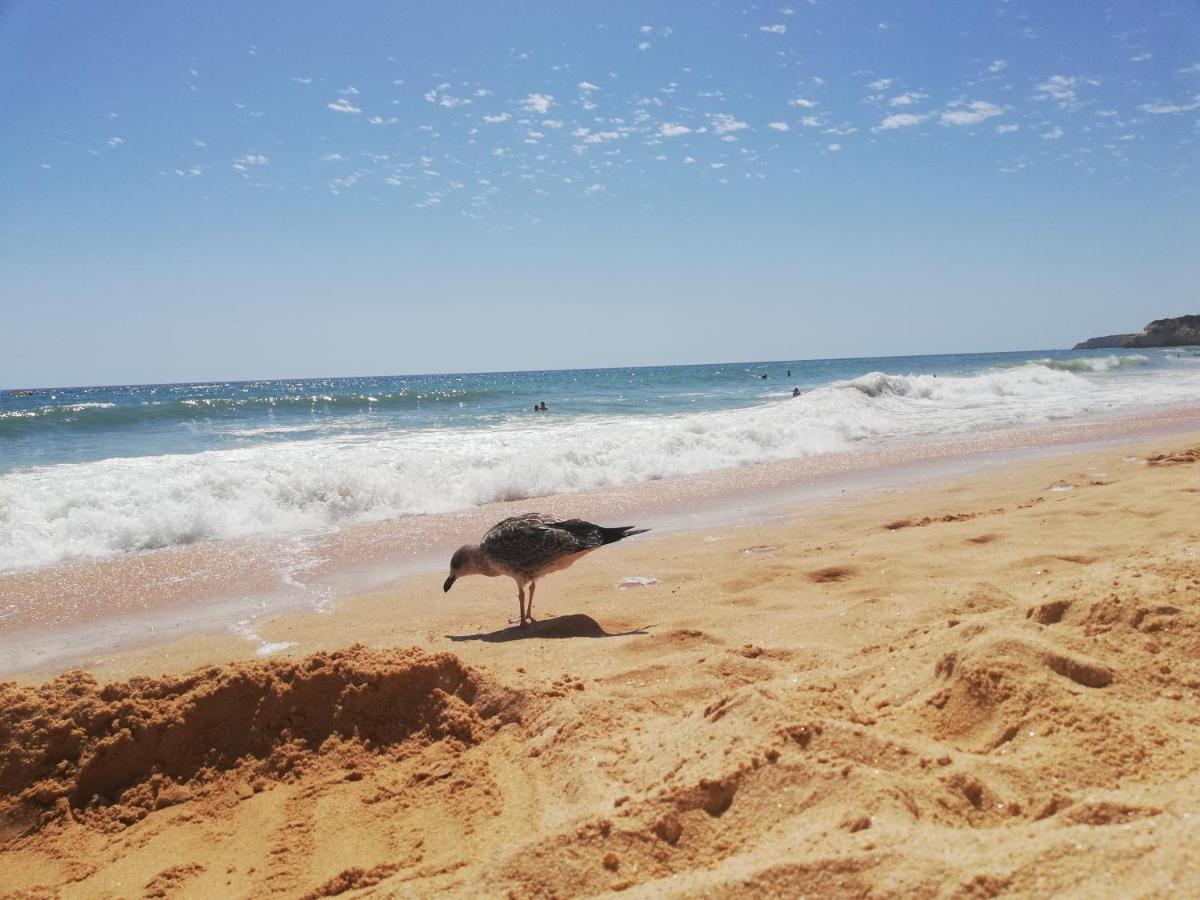 Apartamento Do Algarve Armação de Pêra المظهر الخارجي الصورة