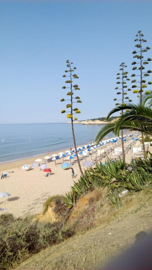 Apartamento Do Algarve Armação de Pêra المظهر الخارجي الصورة